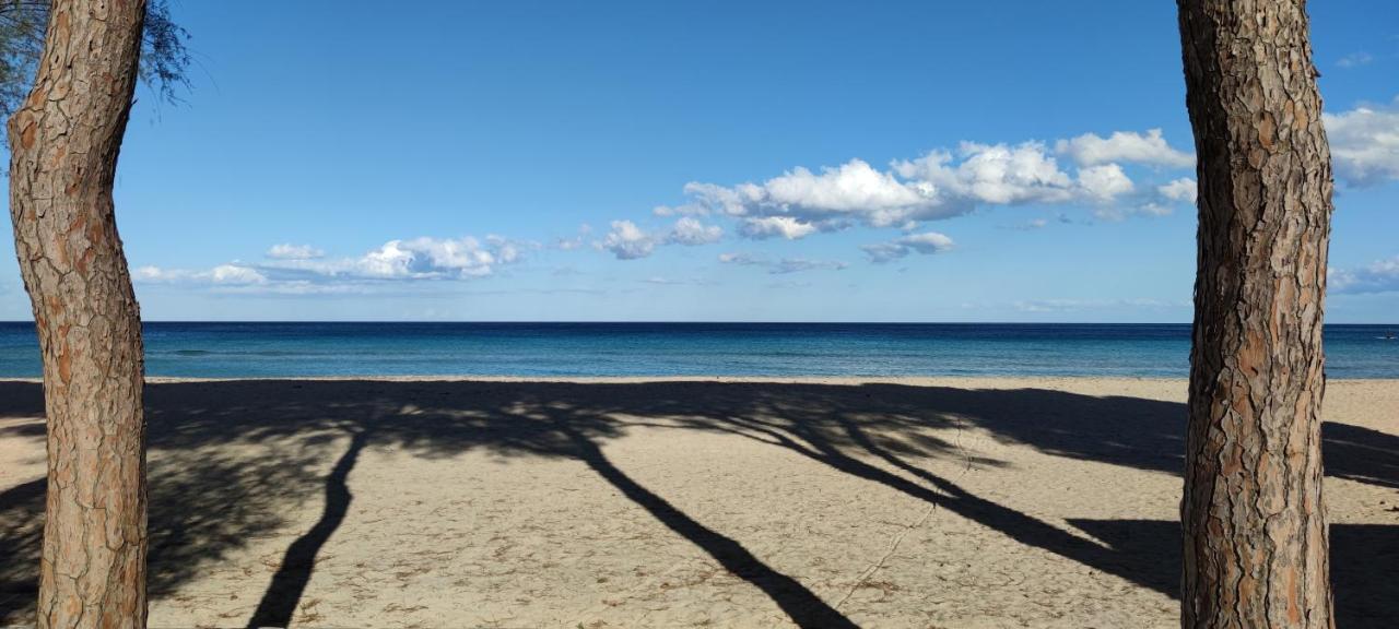 Appartamento La sirena sul mare di Mondello Esterno foto